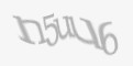 Защитный код